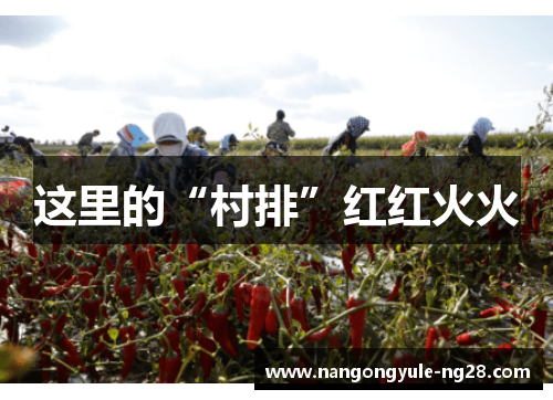 这里的“村排”红红火火